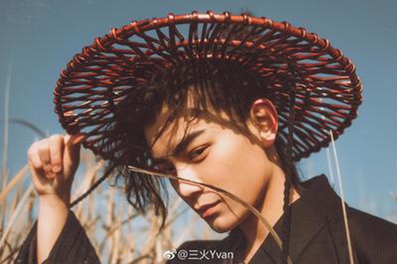 丁禹兮