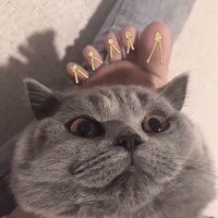 野草拾趣人